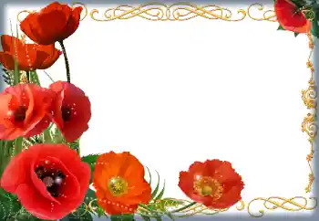 Εφέ φωτογραφιών στην κατηγορία Κορνίζες για φωτογραφίες γυναικών № 205838