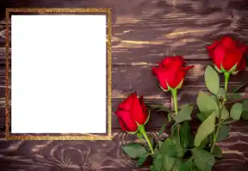 Εφέ φωτογραφιών στην κατηγορία Κορνίζες για φωτογραφίες γυναικών № 206175