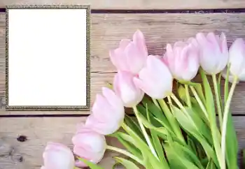 Εφέ φωτογραφιών στην κατηγορία Κορνίζες για φωτογραφίες γυναικών № 206178