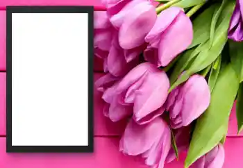 Εφέ φωτογραφιών στην κατηγορία Κορνίζες για φωτογραφίες γυναικών № 206179