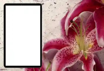 Εφέ φωτογραφιών στην κατηγορία Κορνίζες για φωτογραφίες γυναικών № 206184