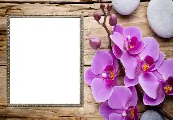 Εφέ φωτογραφιών στην κατηγορία Κορνίζες για φωτογραφίες γυναικών № 206185 Εφέ φωτογραφιών στην κατηγορία Κορνίζες για φωτογραφίες γυναικών № 206185