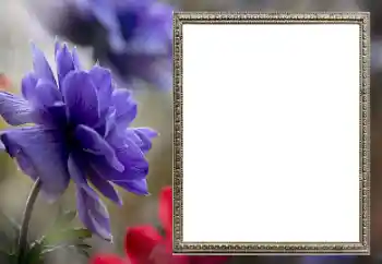 Εφέ φωτογραφιών στην κατηγορία Κορνίζες για φωτογραφίες γυναικών № 206189 Εφέ φωτογραφιών στην κατηγορία Κορνίζες για φωτογραφίες γυναικών № 206189