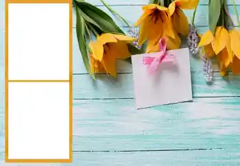 Εφέ φωτογραφιών στην κατηγορία Κορνίζες για φωτογραφίες γυναικών № 206196