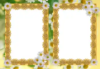 Εφέ φωτογραφιών στην κατηγορία Κορνίζες για φωτογραφίες γυναικών № 21191