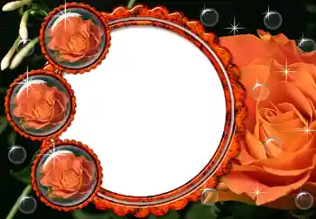 Εφέ φωτογραφιών στην κατηγορία Κορνίζες για φωτογραφίες γυναικών № 211