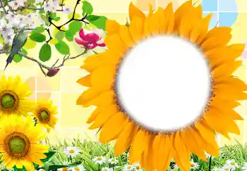 Εφέ φωτογραφιών στην κατηγορία Κορνίζες για φωτογραφίες γυναικών № 212