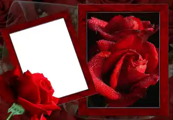 Εφέ φωτογραφιών στην κατηγορία Κορνίζες για φωτογραφίες γυναικών № 2157