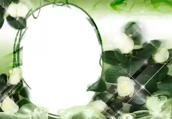 Εφέ φωτογραφιών στην κατηγορία Κορνίζες για φωτογραφίες γυναικών № 2159