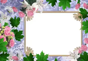 Εφέ φωτογραφιών στην κατηγορία Κορνίζες για φωτογραφίες γυναικών № 215