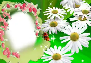 Εφέ φωτογραφιών στην κατηγορία Κορνίζες για φωτογραφίες γυναικών № 2160