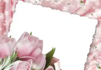 Εφέ φωτογραφιών στην κατηγορία Κορνίζες για φωτογραφίες γυναικών № 2171