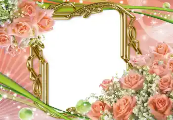 Εφέ φωτογραφιών στην κατηγορία Κορνίζες για φωτογραφίες γυναικών № 2173