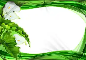 Εφέ φωτογραφιών στην κατηγορία Κορνίζες για φωτογραφίες γυναικών № 2177