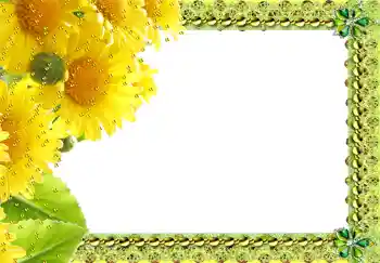 Εφέ φωτογραφιών στην κατηγορία Κορνίζες για φωτογραφίες γυναικών № 217