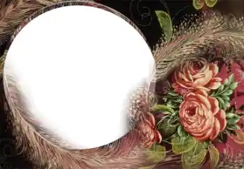 Εφέ φωτογραφιών στην κατηγορία Κορνίζες για φωτογραφίες γυναικών № 22185