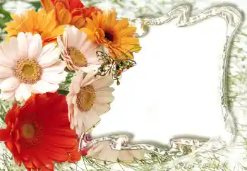 Εφέ φωτογραφιών στην κατηγορία Κορνίζες για φωτογραφίες γυναικών № 224