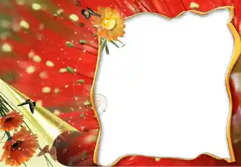 Εφέ φωτογραφιών στην κατηγορία Κορνίζες για φωτογραφίες γυναικών № 228