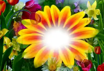 Εφέ φωτογραφιών στην κατηγορία Κορνίζες για φωτογραφίες γυναικών № 2295