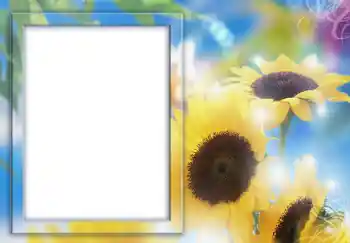 Εφέ φωτογραφιών στην κατηγορία Κορνίζες για φωτογραφίες γυναικών № 231