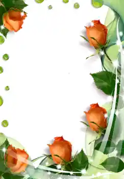 Εφέ φωτογραφιών στην κατηγορία Κορνίζες για φωτογραφίες γυναικών № 238