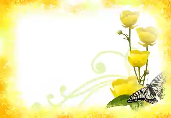 Εφέ φωτογραφιών στην κατηγορία Κορνίζες για φωτογραφίες γυναικών № 2390