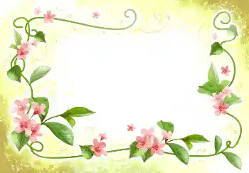 Εφέ φωτογραφιών στην κατηγορία Κορνίζες για φωτογραφίες γυναικών № 2398