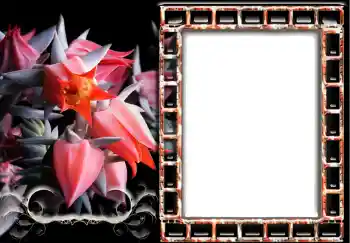 Εφέ φωτογραφιών στην κατηγορία Κορνίζες για φωτογραφίες γυναικών № 241