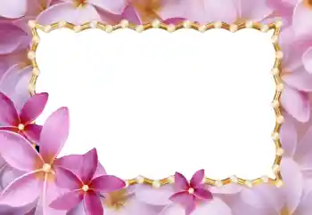 Εφέ φωτογραφιών στην κατηγορία Κορνίζες για φωτογραφίες γυναικών № 24214