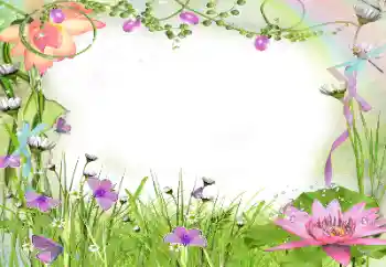 Εφέ φωτογραφιών στην κατηγορία Κορνίζες για φωτογραφίες γυναικών № 24240