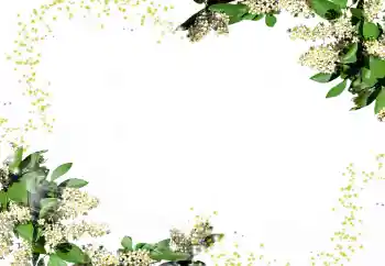 Εφέ φωτογραφιών στην κατηγορία Κορνίζες για φωτογραφίες γυναικών № 24247