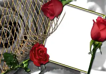 Εφέ φωτογραφιών στην κατηγορία Κορνίζες για φωτογραφίες γυναικών № 242