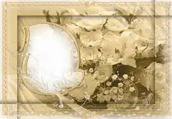 Εφέ φωτογραφιών στην κατηγορία Κορνίζες για φωτογραφίες γυναικών № 24399