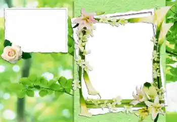 Εφέ φωτογραφιών στην κατηγορία Κορνίζες για φωτογραφίες γυναικών № 24444