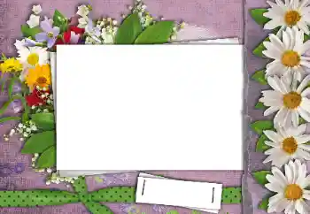 Εφέ φωτογραφιών στην κατηγορία Κορνίζες για φωτογραφίες γυναικών № 24462