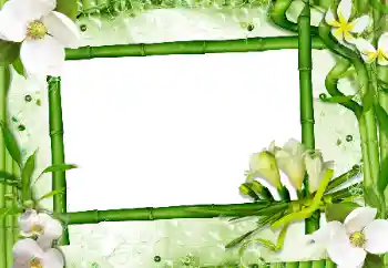 Εφέ φωτογραφιών στην κατηγορία Κορνίζες για φωτογραφίες γυναικών № 24470