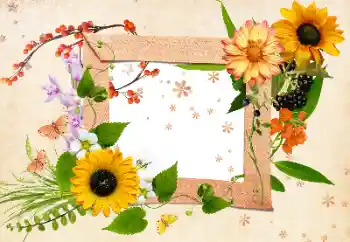 Εφέ φωτογραφιών στην κατηγορία Κορνίζες για φωτογραφίες γυναικών № 24511