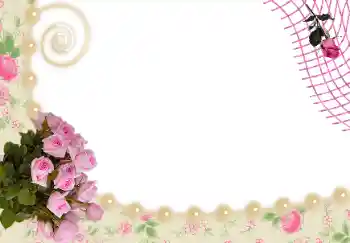 Εφέ φωτογραφιών στην κατηγορία Κορνίζες για φωτογραφίες γυναικών № 24536