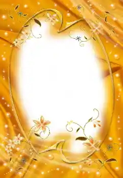 Εφέ φωτογραφιών στην κατηγορία Κορνίζες για φωτογραφίες γυναικών № 25446