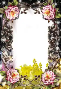 Εφέ φωτογραφιών στην κατηγορία Κορνίζες για φωτογραφίες γυναικών № 25479