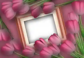 Εφέ φωτογραφιών στην κατηγορία Κορνίζες για φωτογραφίες γυναικών № 2610