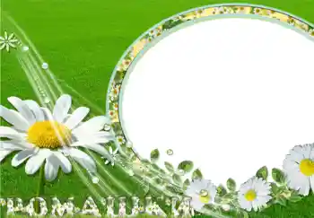 Η επιγραφή στην κορνίζα: Ромашки.