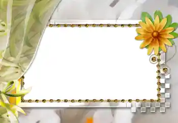 Εφέ φωτογραφιών στην κατηγορία Κορνίζες για φωτογραφίες γυναικών № 264