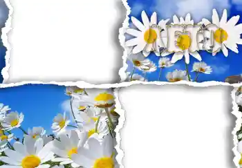 Η επιγραφή στην κορνίζα: Лето.