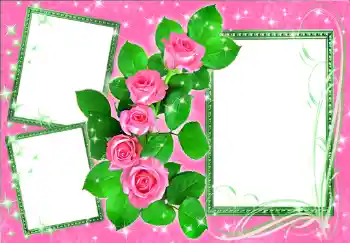 Εφέ φωτογραφιών στην κατηγορία Κορνίζες για φωτογραφίες γυναικών № 275