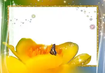 Εφέ φωτογραφιών στην κατηγορία Κορνίζες για φωτογραφίες γυναικών № 278