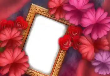 Εφέ φωτογραφιών στην κατηγορία Κορνίζες για φωτογραφίες γυναικών № 2919