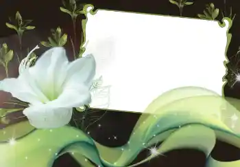 Εφέ φωτογραφιών στην κατηγορία Κορνίζες για φωτογραφίες γυναικών № 2920