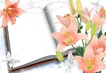 Εφέ φωτογραφιών στην κατηγορία Κορνίζες για φωτογραφίες γυναικών № 2985