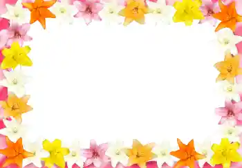 Εφέ φωτογραφιών στην κατηγορία Κορνίζες για φωτογραφίες γυναικών № 2989